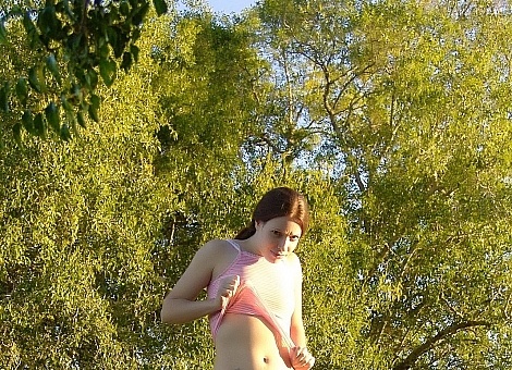 In the Tree
