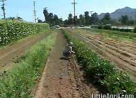 Naughty Nubile Finger Fucks Herself